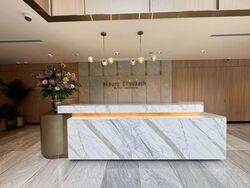 Mount Elizabeth Hospital (D9), Retail #568308751